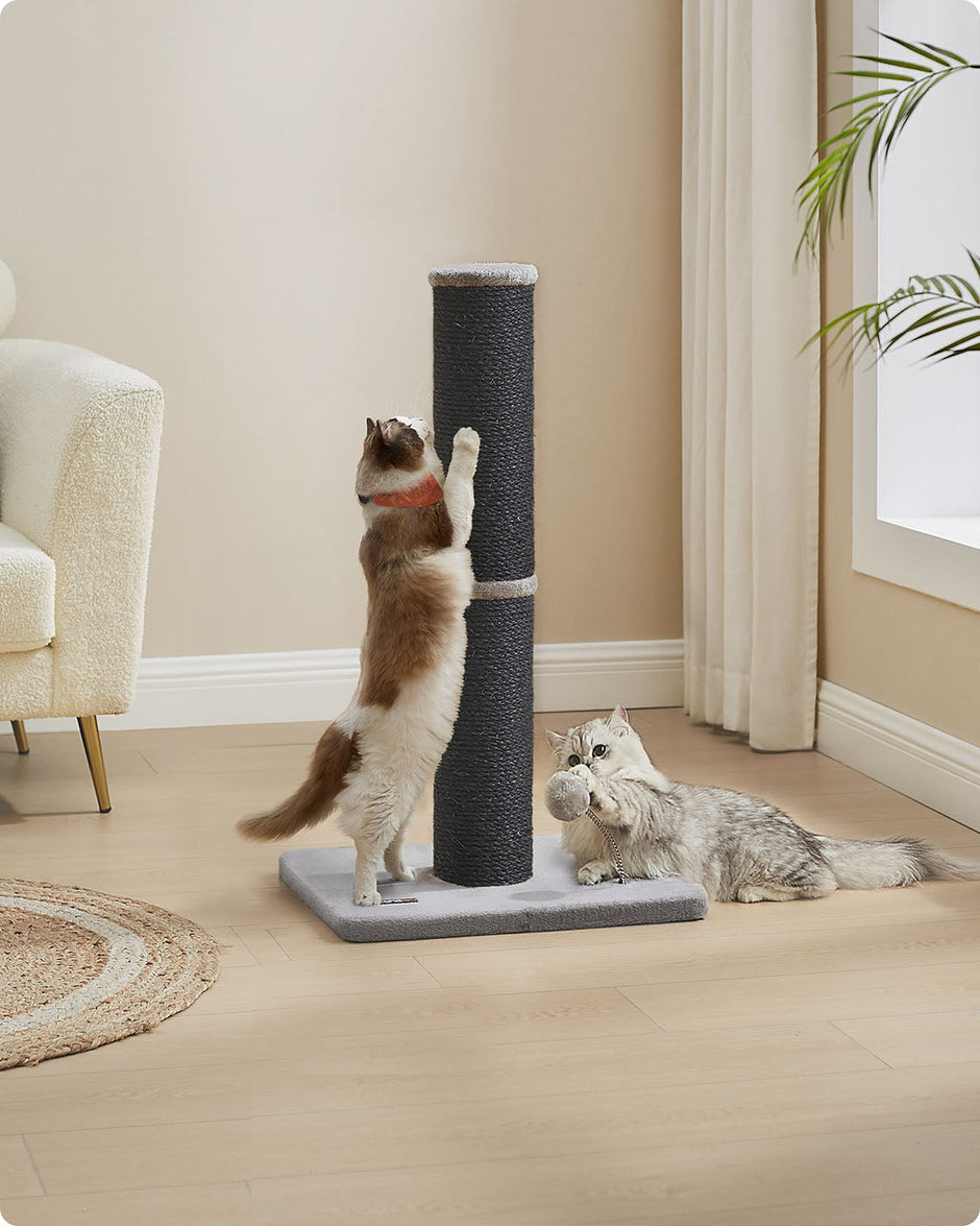 Cat Scratching Post – Sisal – Ink Black – 85 cm Tall with Spring Pompom and Built-in Bell