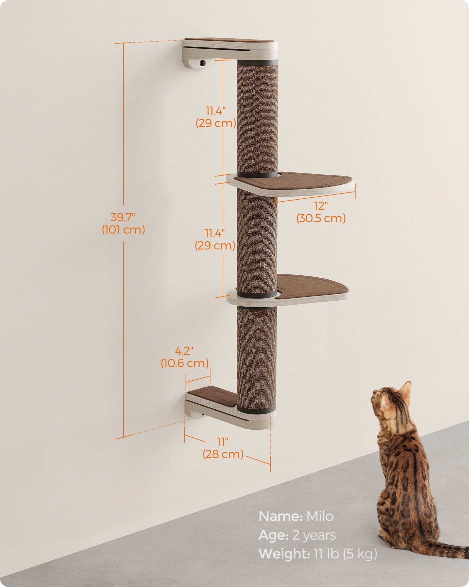 Wall-Mounted Cat Scratching Post – Engineered Wood – Natural – With Dual Perches
