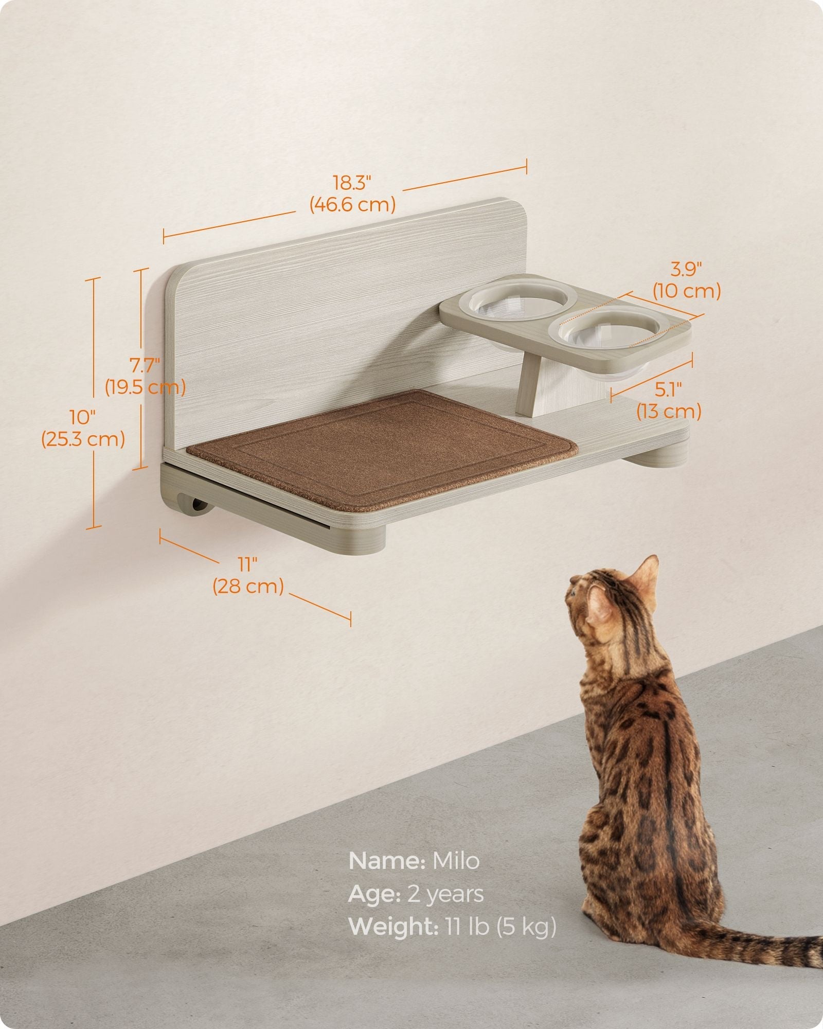 Wall-Mounted Cat Food Station – Wood – Natural Finish – Elevated Bowls Design