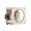 Wall-Mounted Cat Cave – Wood – Natural – Features Observation Window