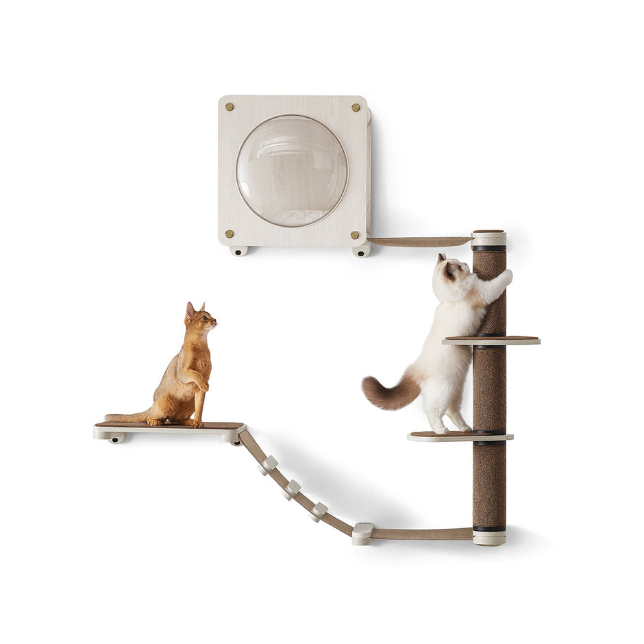 Cat Wall Furniture Set – Engineered Wood – Natural Finish – Includes 5 Pieces