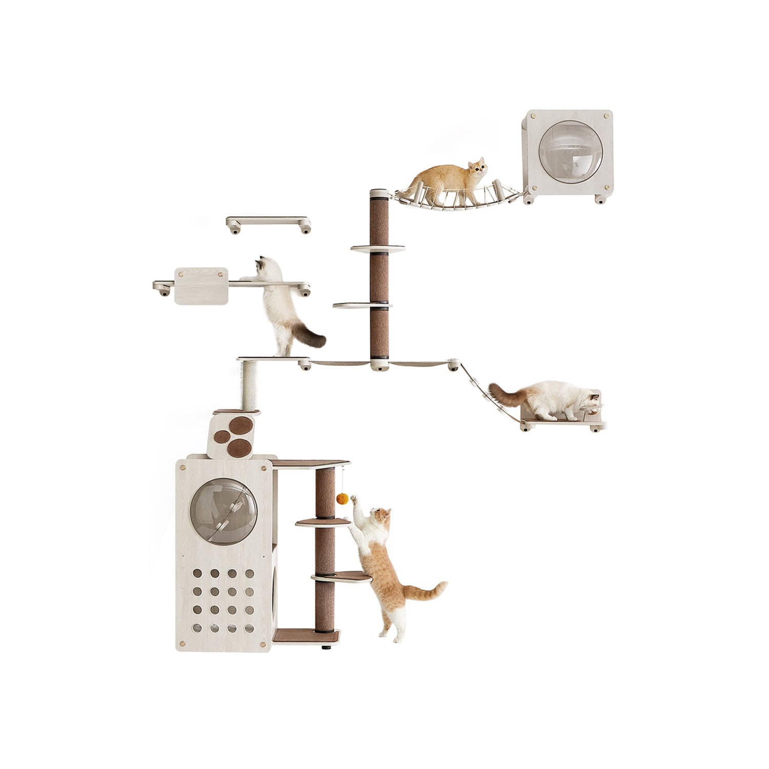 Cat Wall Furniture Set – Wood – Natural Finish – Space-Saving Design