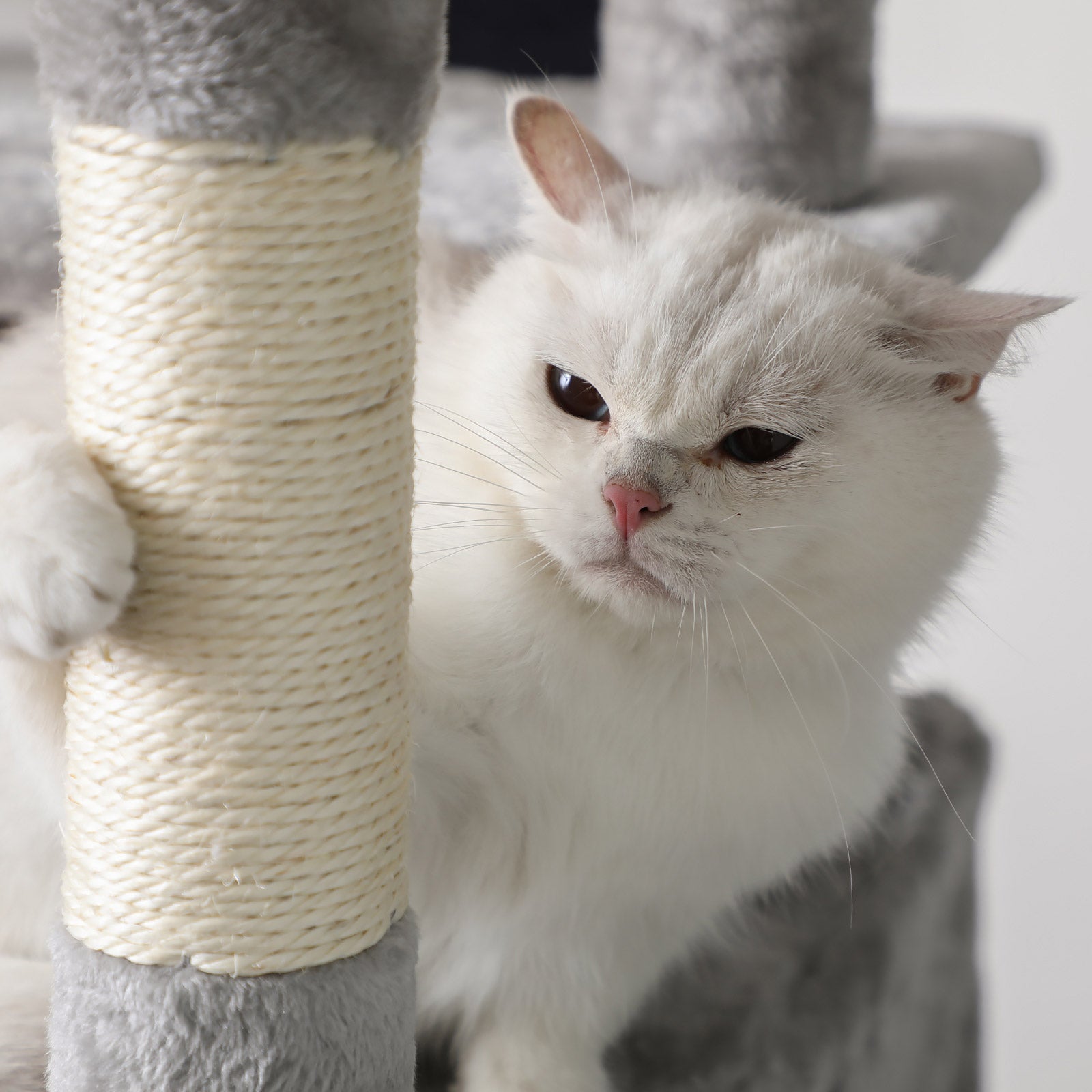Cat Tree – Wood and Fabric – Light Grey – XXL Design 168 cm