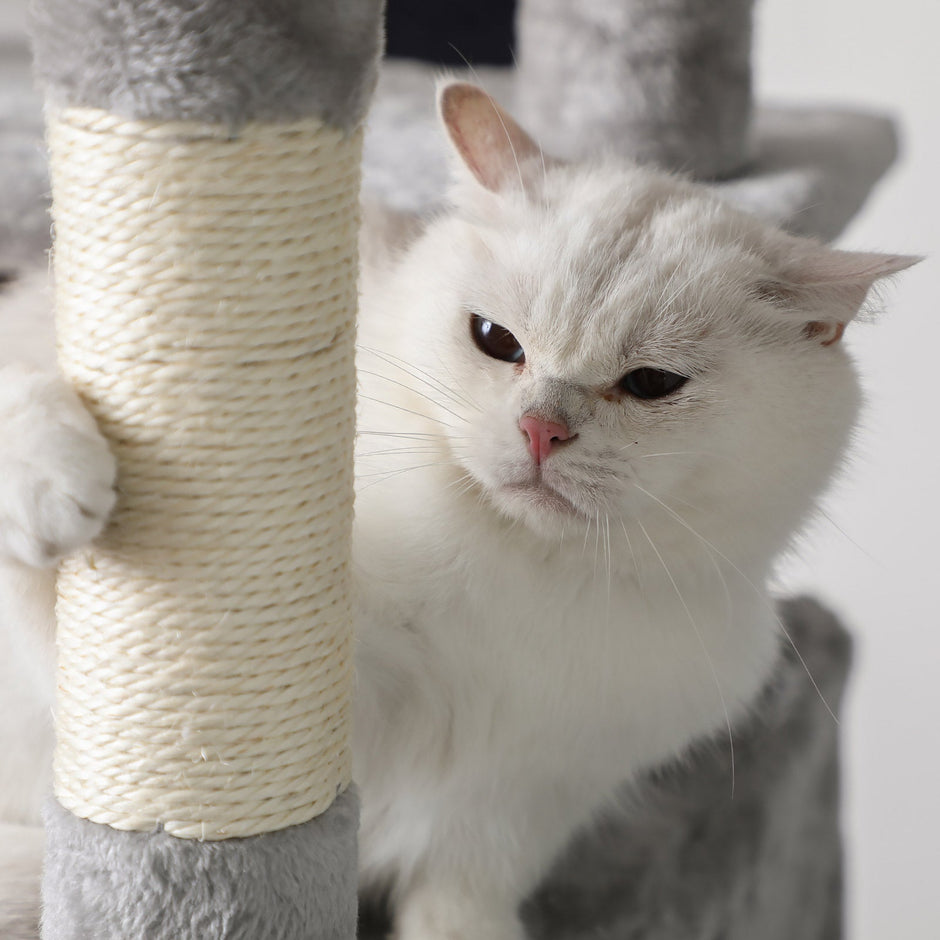 Cat Tree – Wood and Fabric – Light Grey – XXL Design 168 cm