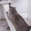 Cat Tree – Wood and Fabric – Light Grey – XXL Design 168 cm