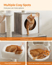 Cat Tree – Wood – Greige – 2-in-1 Design with Litter Box Enclosure and Scratching Posts