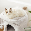 Small Cat Tree – PCT Material – Light Brown – 66 cm with Hammock