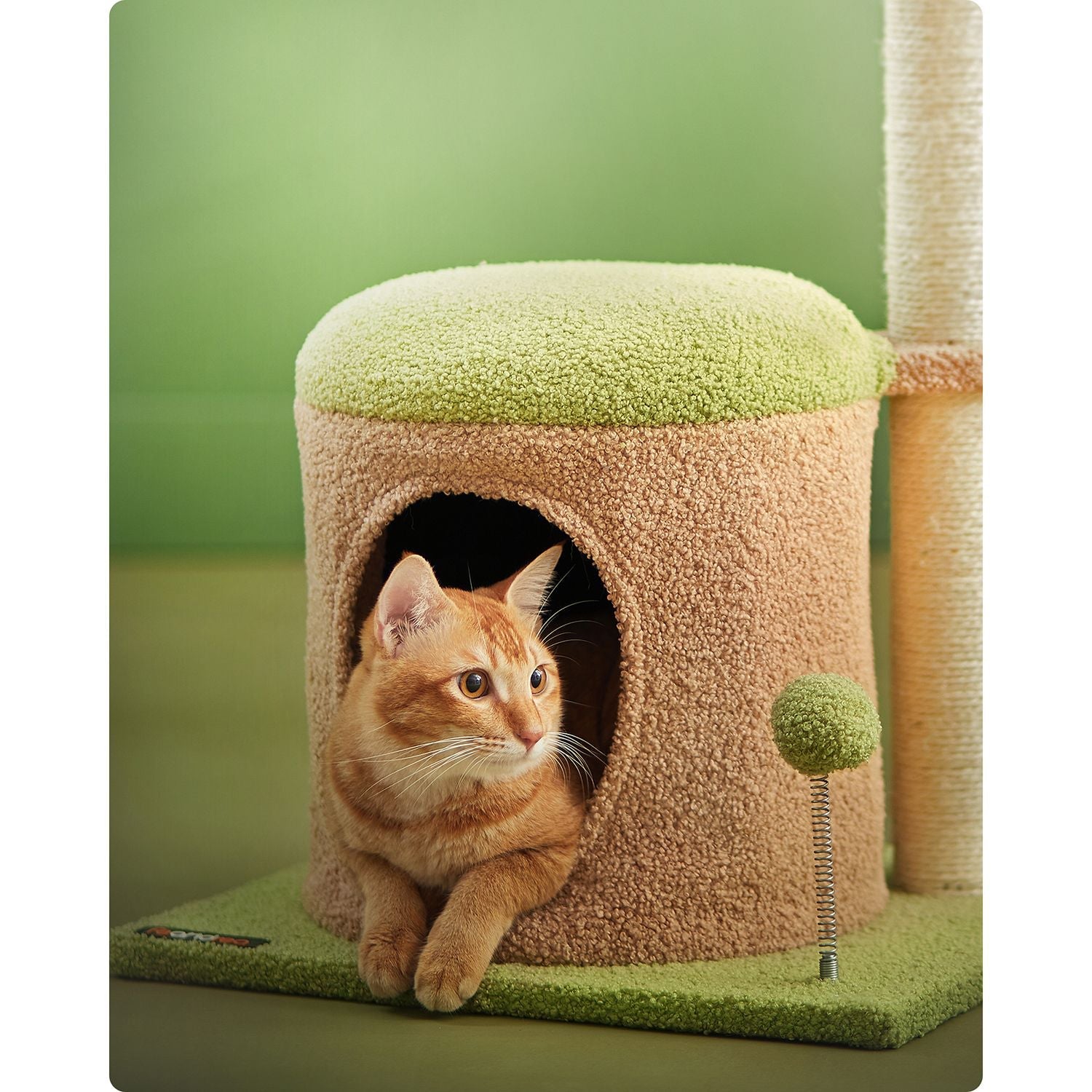 Cat Tree House – Wood – Spring Green and Light Earth Brown – Includes Scratching Post and Padded Perch