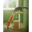 Cat Tree House – Wood – Spring Green and Light Earth Brown – Includes Scratching Post and Padded Perch