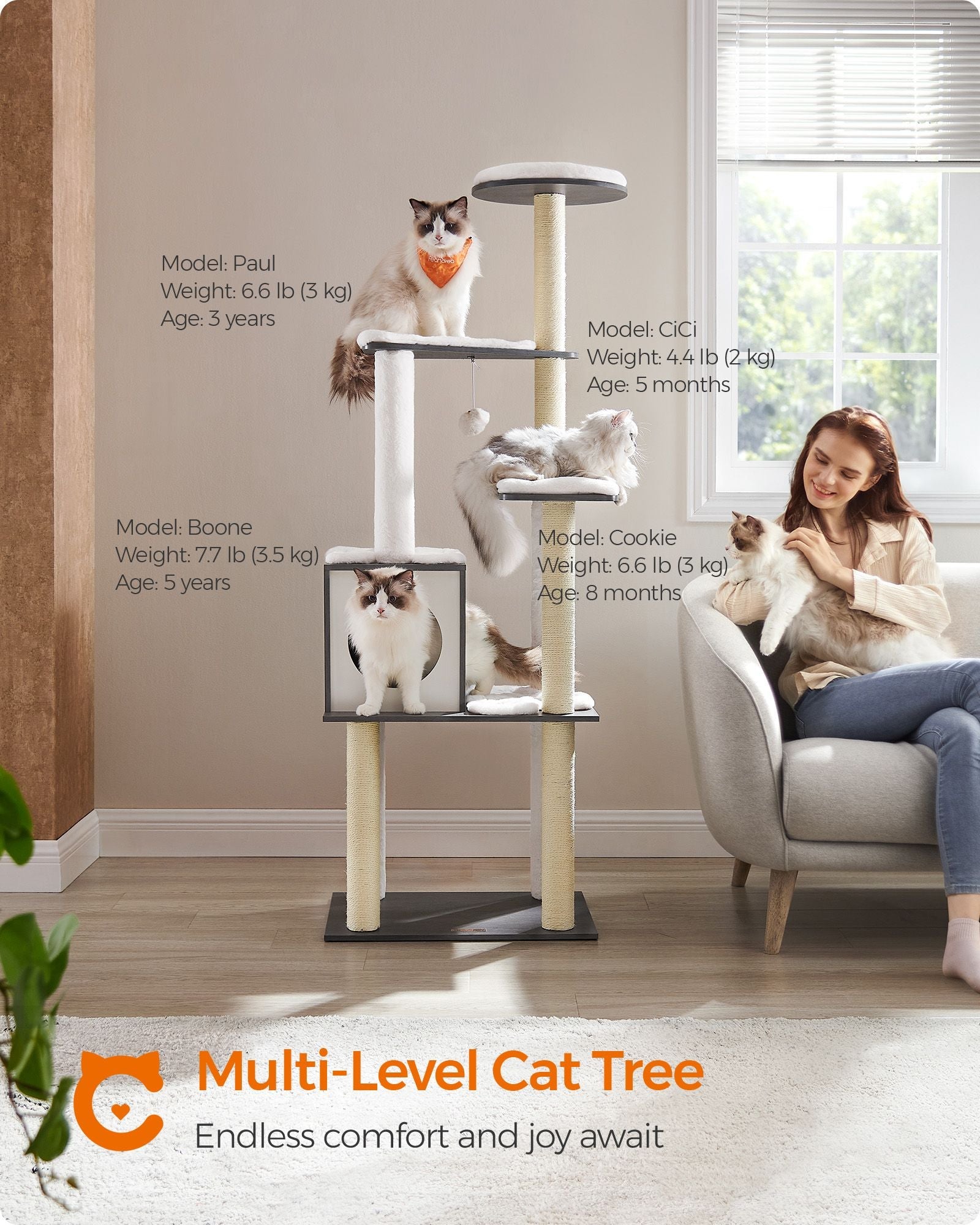 Cat Tree – Wood – Misty Grey – 5 Scratching Posts and Padded Perches
