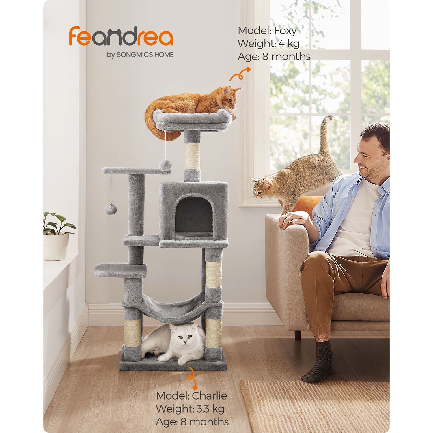 Cat Tree – Engineered Wood – Light Grey – Featuring Hammock and Condo