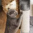 Cat Activity Centre – Particle Board and Plush – Light Grey – With Hammock and Multiple Levels