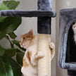 Cat Tree – Engineered Wood – Light Grey – Activity Centre with Condo