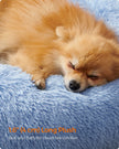 Dog Bed – Soft Plush – Pale Blue – 60 cm Diameter