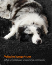 Round Dog and Cat Bed – Soft Plush – Ink Black – Fluffy Design
