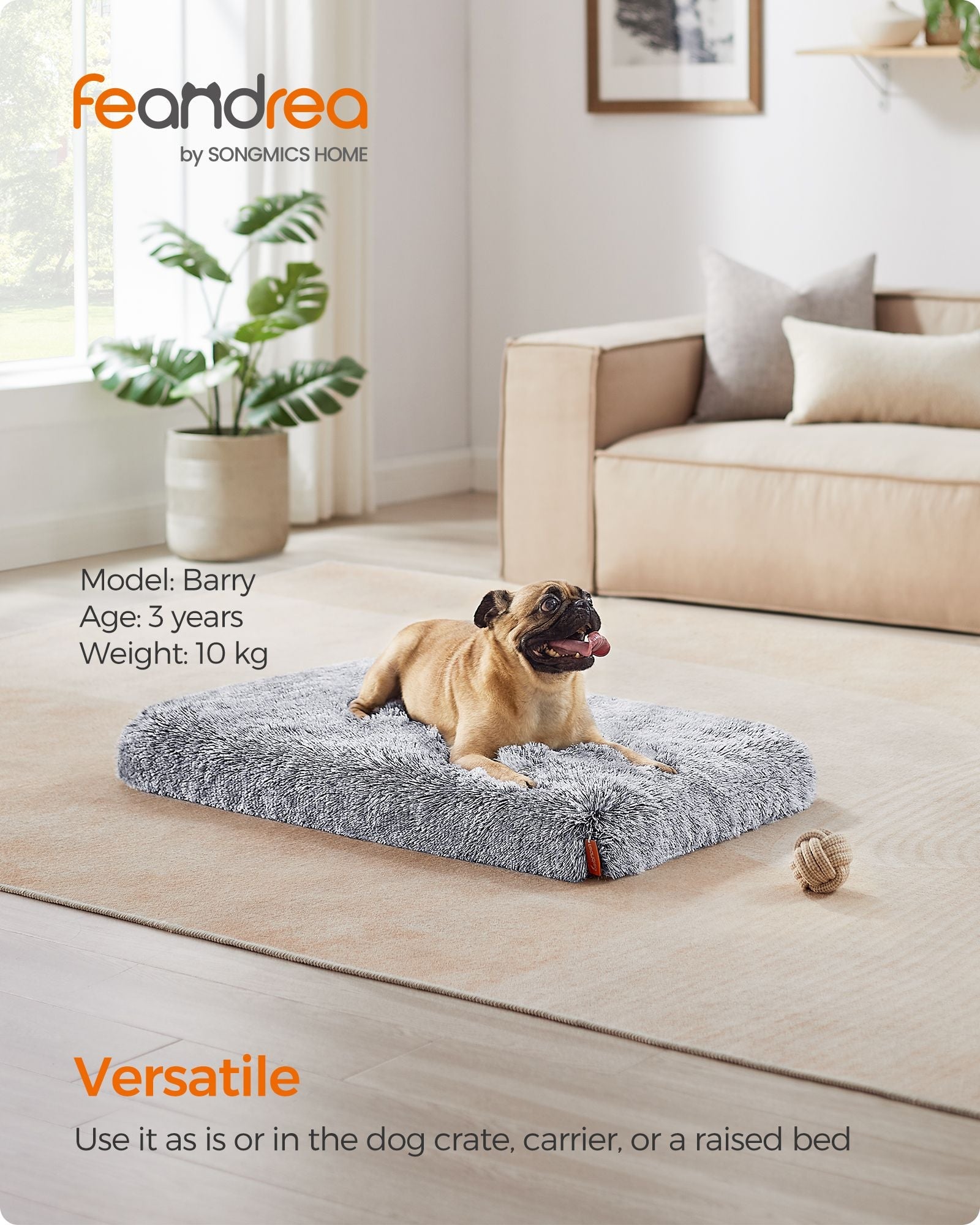 Dog Bed – Egg Crate Foam – Grey Ombré – Removable Washable Cover 80 x 50 x 8 cm