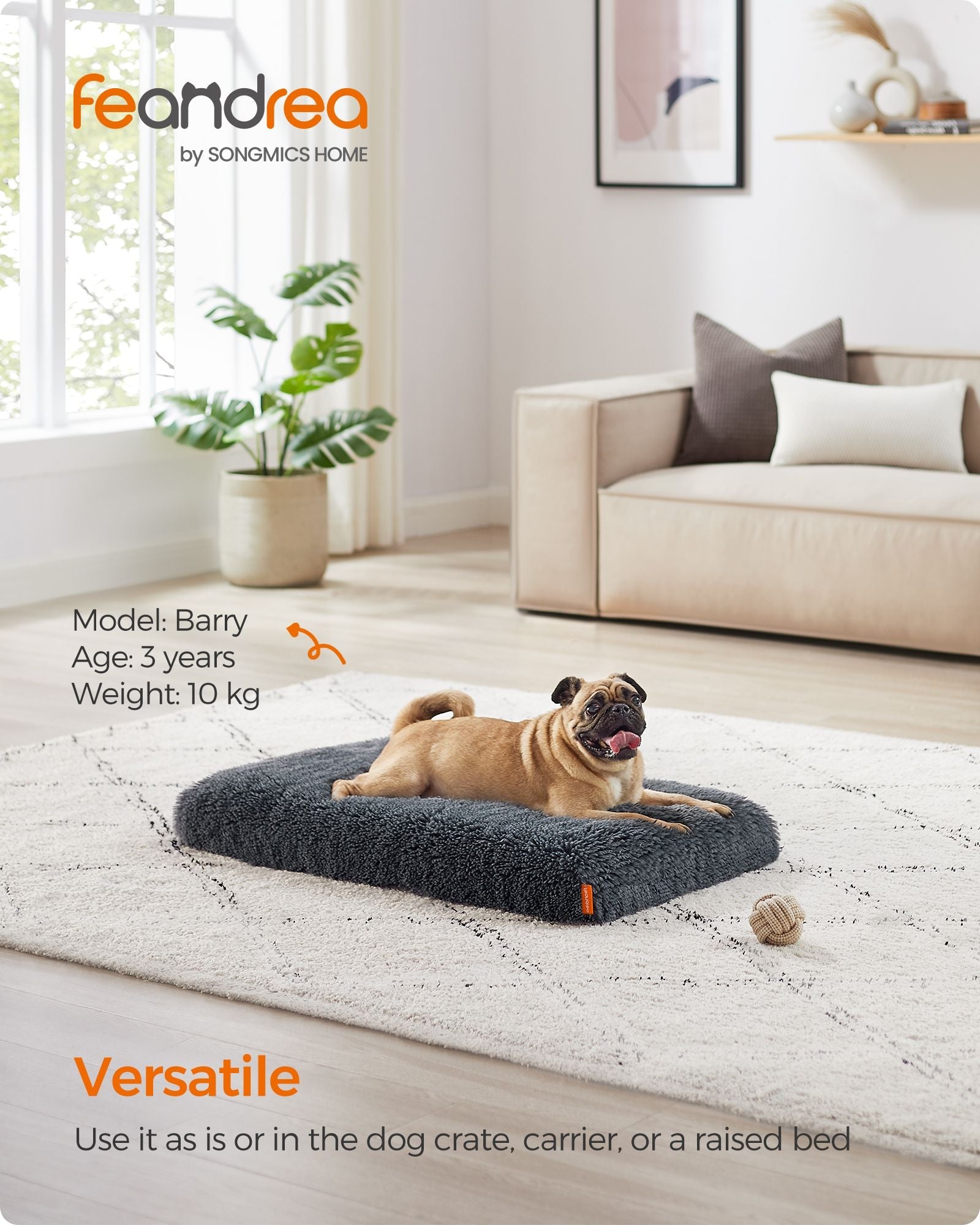 Dog Bed – Egg Crate Foam – Dark Grey – Removable Washable Cover, 80 x 50 x 8 cm