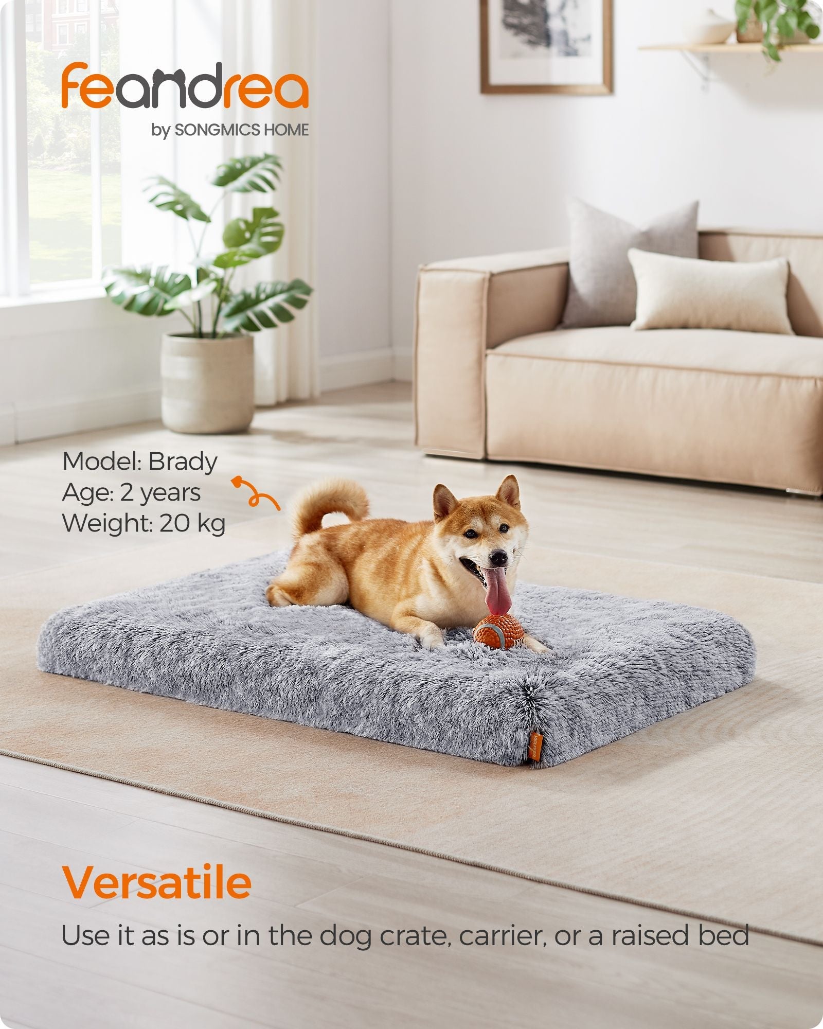 Dog Bed – Egg Crate Foam – Grey Ombré – Removable Washable Cover