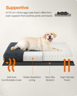 Dog Bed – Egg Crate Foam – Dark Grey – Fluffy Mattress with Removable Washable Cover
