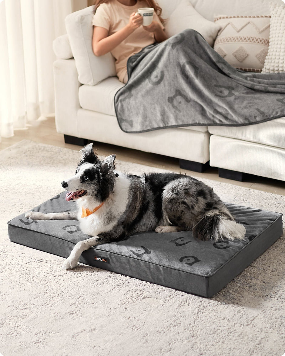Orthopedic Dog Bed – Egg Crate Foam – Dove Grey – Waterproof Removable Cover
