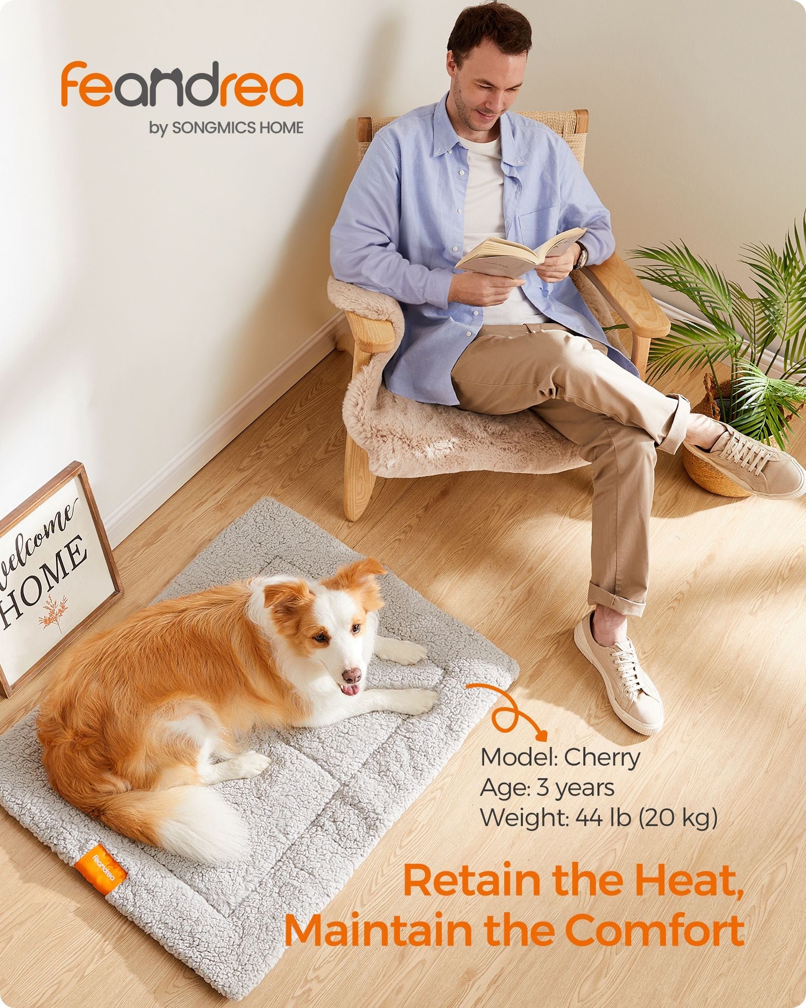 Dog and Cat Bed – PP – Dove Grey – Machine Washable, Non-Slip, 90 x 65 cm