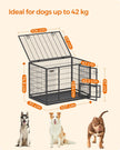 Heavy-Duty Dog Crate – Metal – Black – XL with Removable Doors and Easy Cleaning