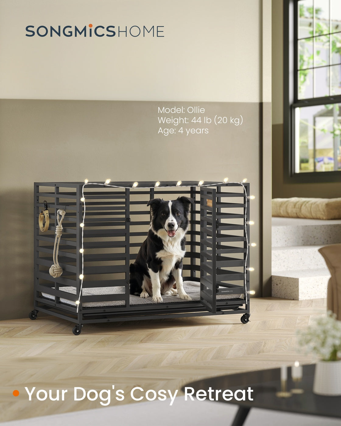 Heavy-Duty Dog Crate Cage – Metal – Ink Black – Expandable with Removable Tray and Lockable Wheels