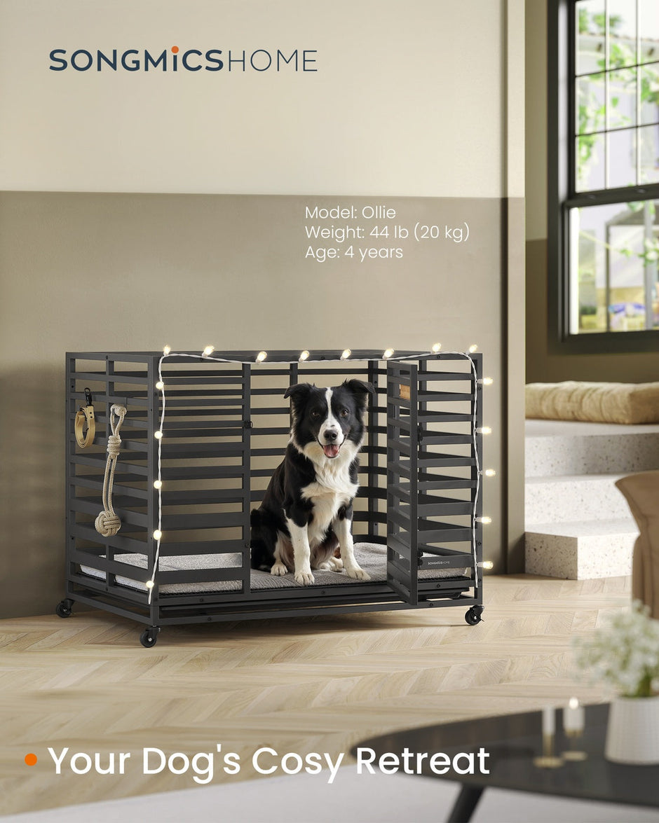 Heavy-Duty Dog Crate Cage – Metal – Ink Black – Expandable with Removable Tray and Lockable Wheels