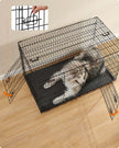 Dog Cage – Metal – Black – Folding Design with Two Doors and Removable Tray