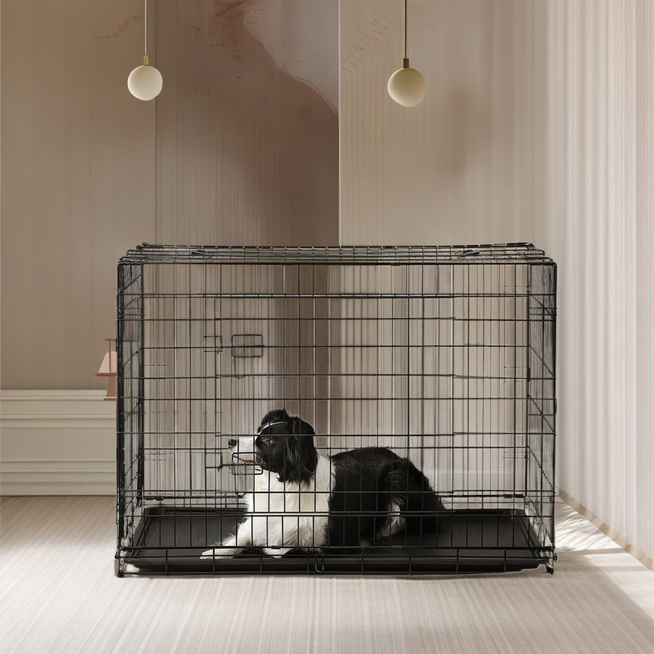 Foldable Dog Crate – Metal – Black – Extra Large with Removable Tray