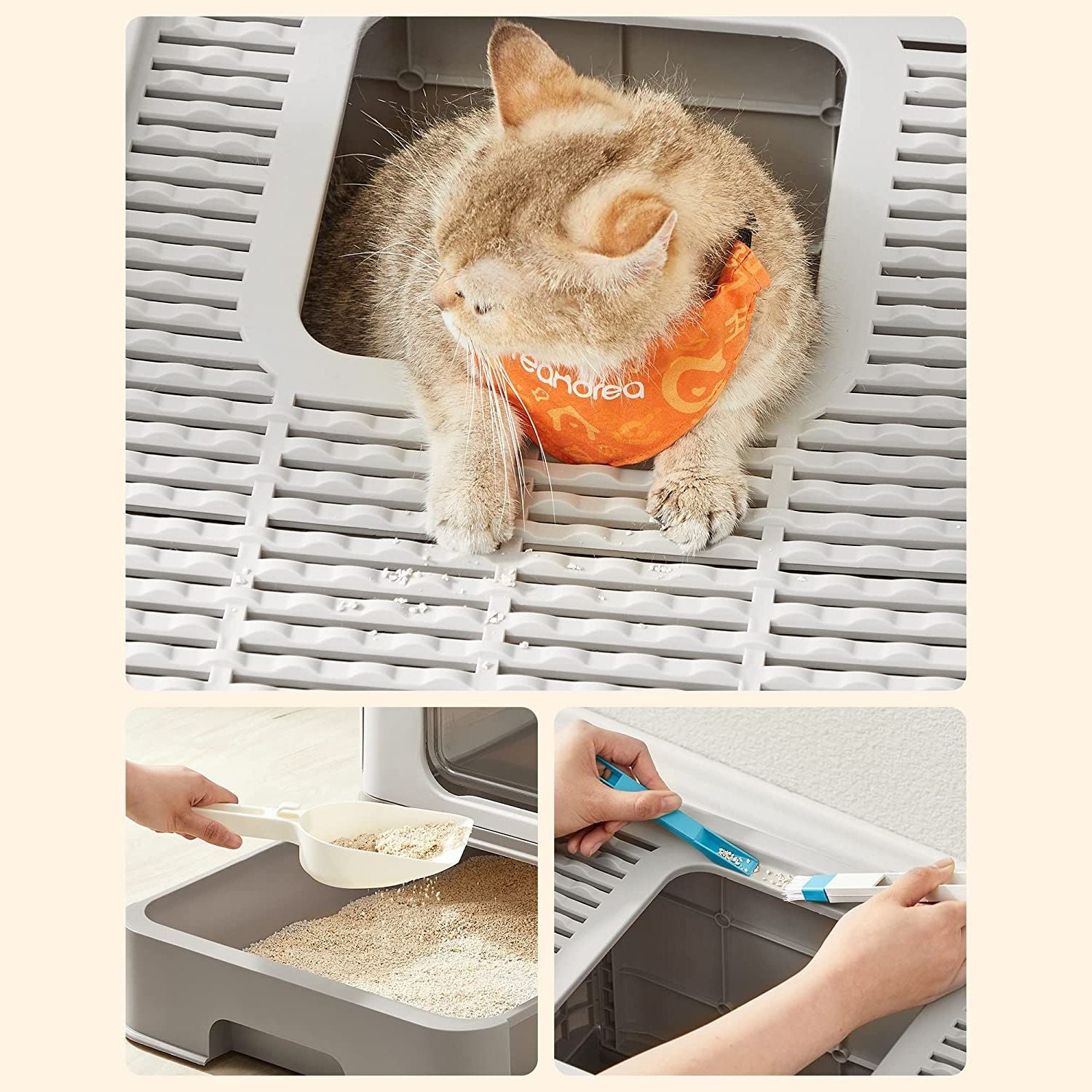 Covered Cat Litter Box – Plastic – Hidden – Spacious Design with Slide-Out Tray and Accessories