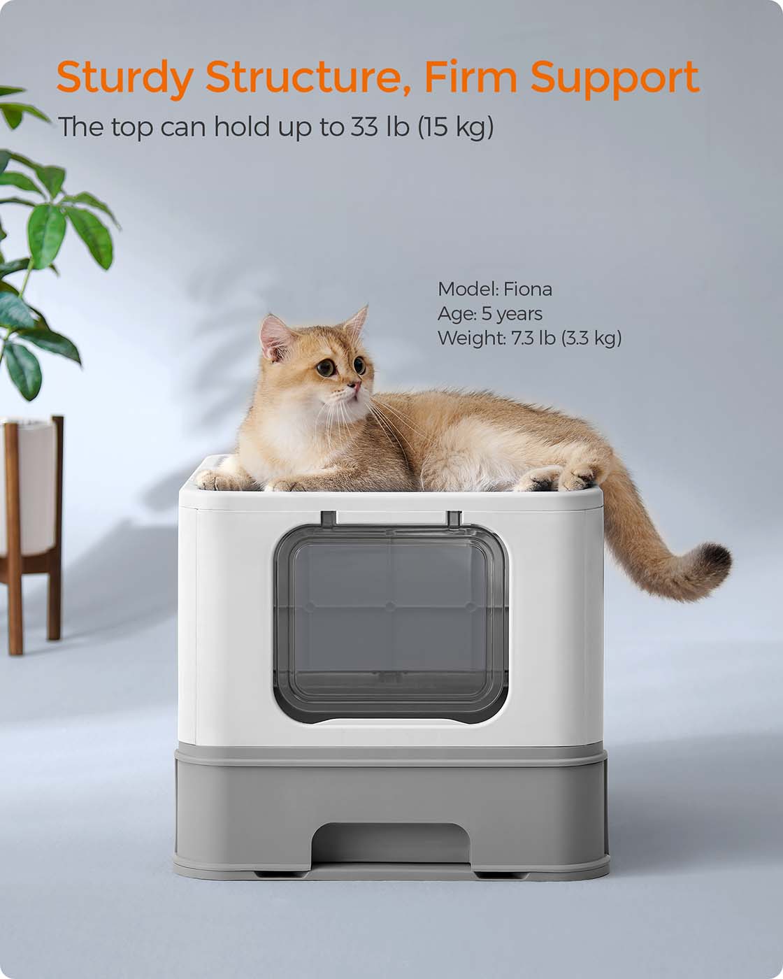 Cat Litter Box – Wood – Dark Brown – Hidden Design with Slide-Out Tray and Accessories