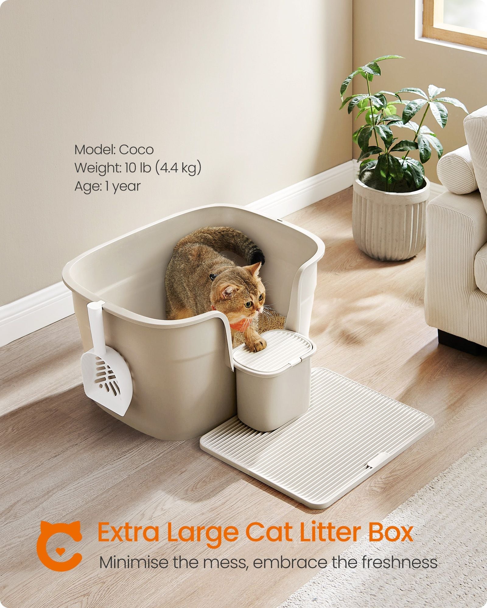 Extra Large Cat Litter Box – Plastic – Cappuccino Beige – Includes Litter Catcher Board and Storage Box