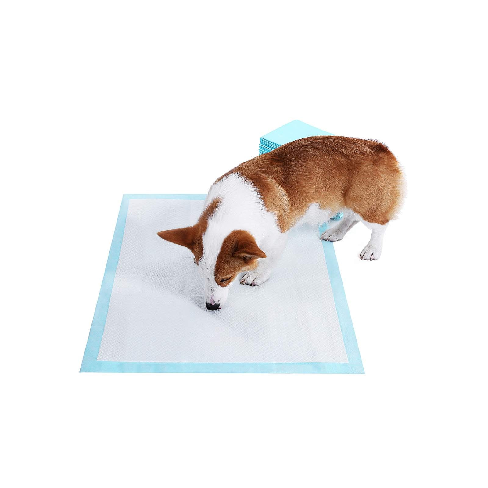 Pet Training Pads – Plastic – Blue – Super-Absorbent, 100-Pack, 60 x 90 cm