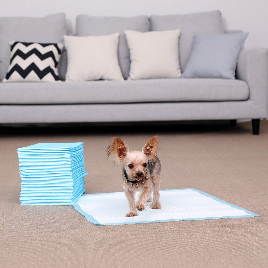 Pet Training Pads – Super-Absorbent – White – Pack of 100, 60 x 60 cm