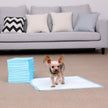 Pet Training Pads – Super-Absorbent – White – Pack of 100, 60 x 60 cm
