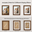 Picture Frames Set – MDF and Glass – Various Sizes – Includes 16 Mats and 12 Non-Trace Nails