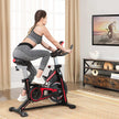 Indoor Cycling Bike – Steel – Black and Red – Adjustable Handlebar, Seat, and Resistance