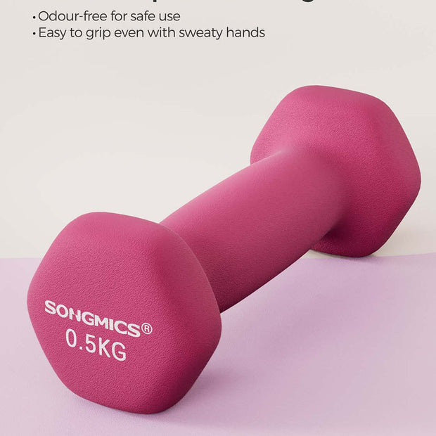 Vinyl Dumbbells – Pink – Set of 2 – Various Weights (0.5 kg to 5 kg)