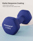 Dumbbells Set – Vinyl – Matte Finish – Non-Slip – 2 x 2.5 kg