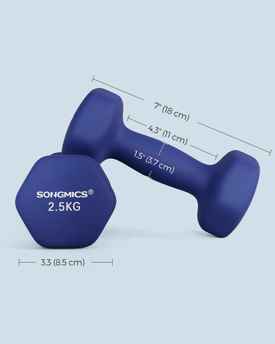 Dumbbells Set – Vinyl – Matte Finish – Non-Slip – 2 x 2.5 kg