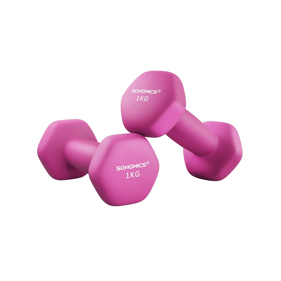 Hexagonal Dumbbells – Steel – Green – Set of 2 x 2 kg for Home Workout