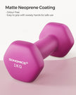 Hexagonal Dumbbells Set – Hexagonal Steel – Pink – Ideal for Home Workout and Fitness Training