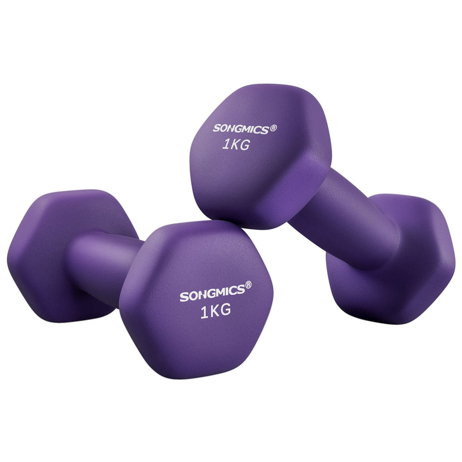 Hexagonal Dumbbells Set – Hexagonal Steel – Pink – Ideal for Home Workout and Fitness Training
