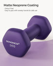 Set of 2 Hexagonal Dumbbells – Steel – Purple – Ideal for Home Workout and Fitness Training