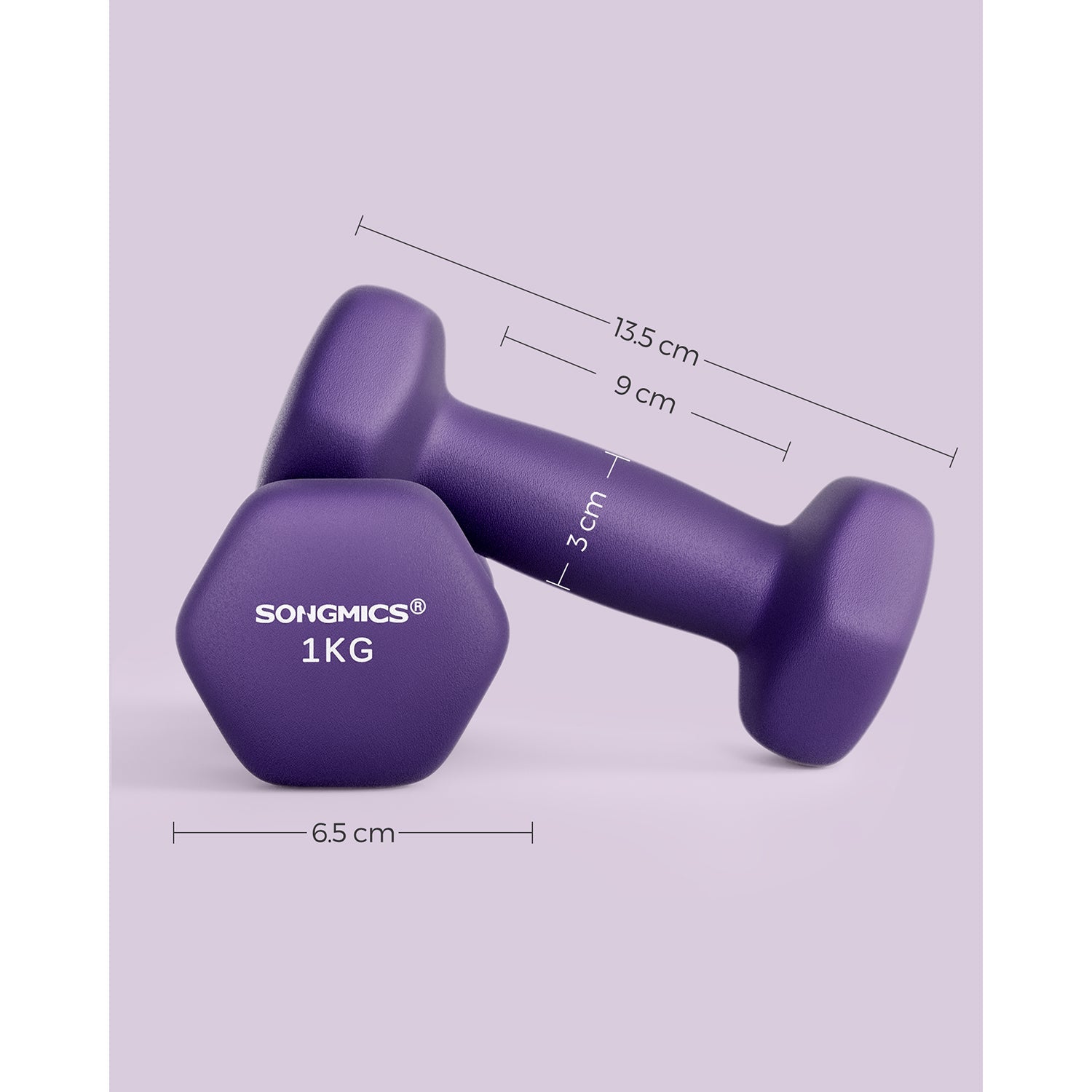 Set of 2 Hexagonal Dumbbells – Steel – Purple – Ideal for Home Workout and Fitness Training
