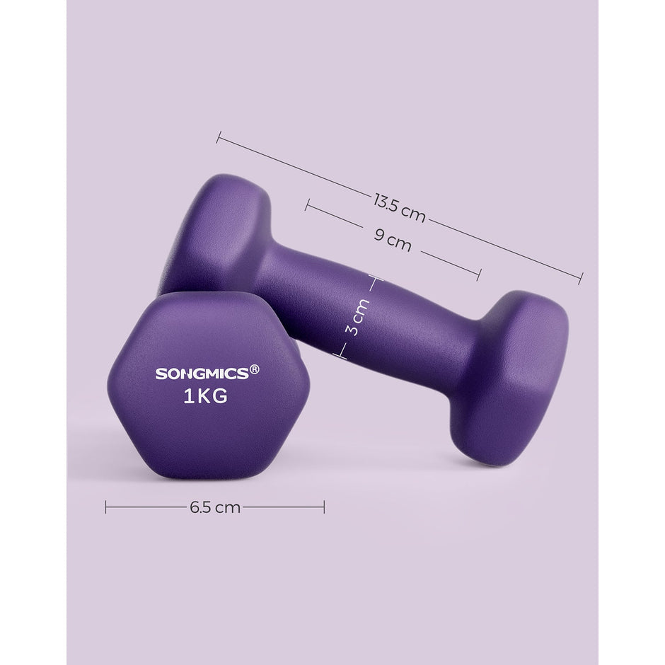 Set of 2 Hexagonal Dumbbells – Steel – Purple – Ideal for Home Workout and Fitness Training
