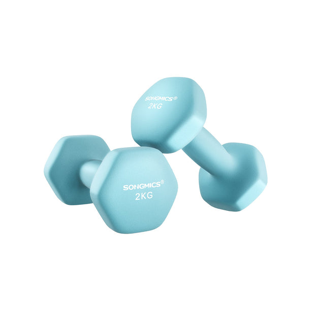 Hexagonal Dumbbells – Steel – Green – Set of 2 x 2 kg for Home Workout