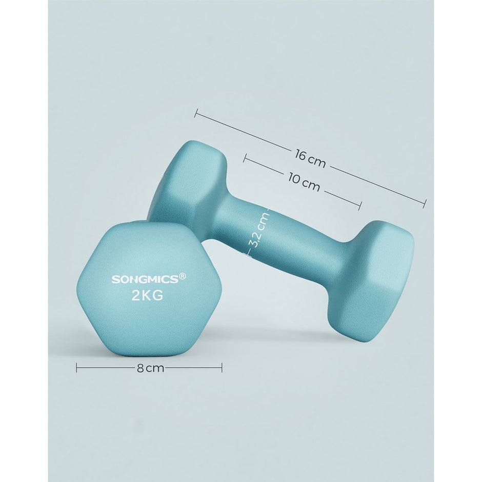 Hexagonal Dumbbells Set – Steel – Light Blue – Ideal for Home Workout and Fitness Training