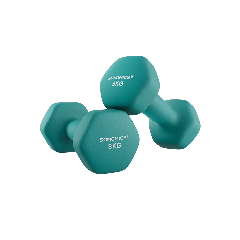 Hexagonal Dumbbells Set – Hexagonal Steel – Pink – Ideal for Home Workout and Fitness Training